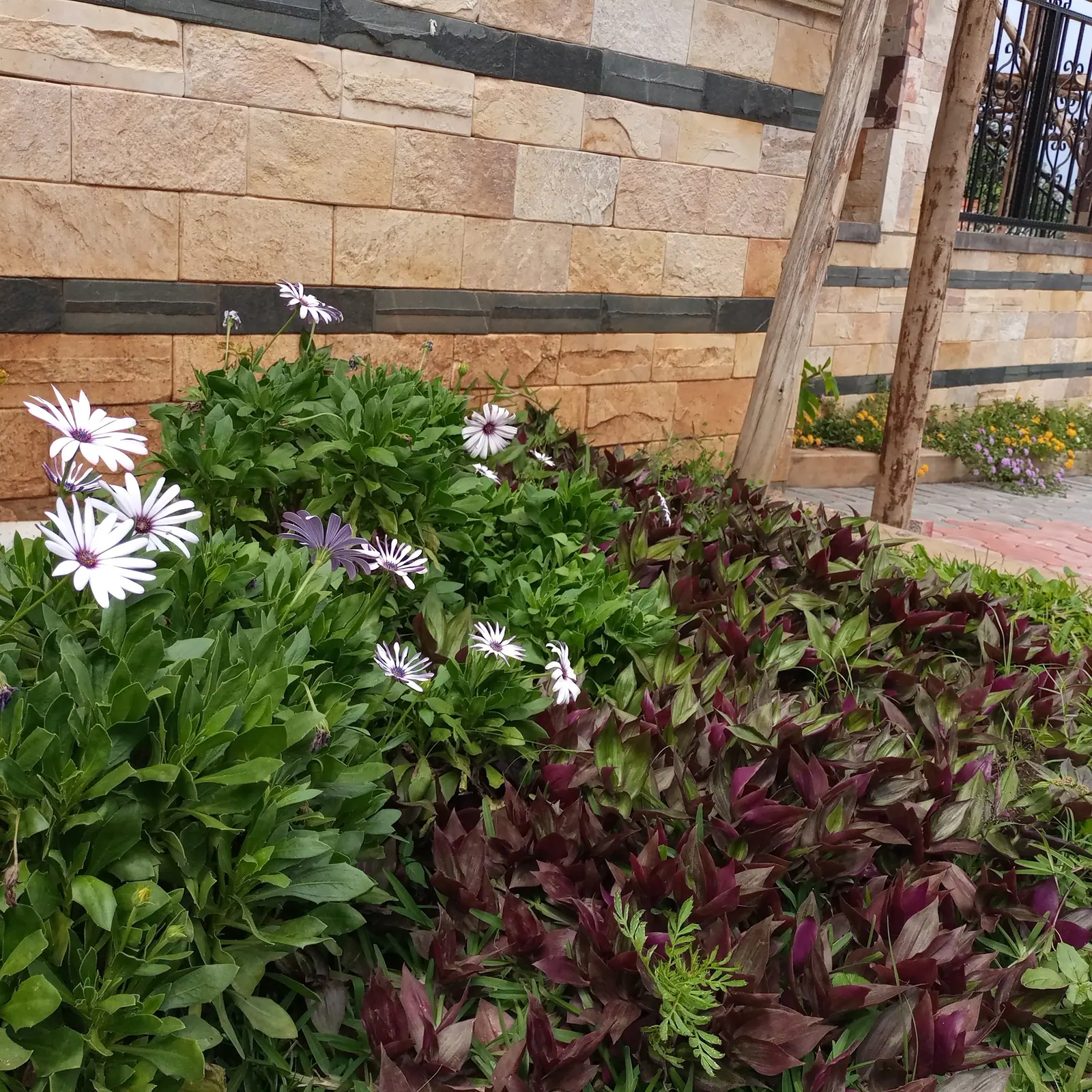Flowering plants and contrasting foliage fill a bed beside the house.