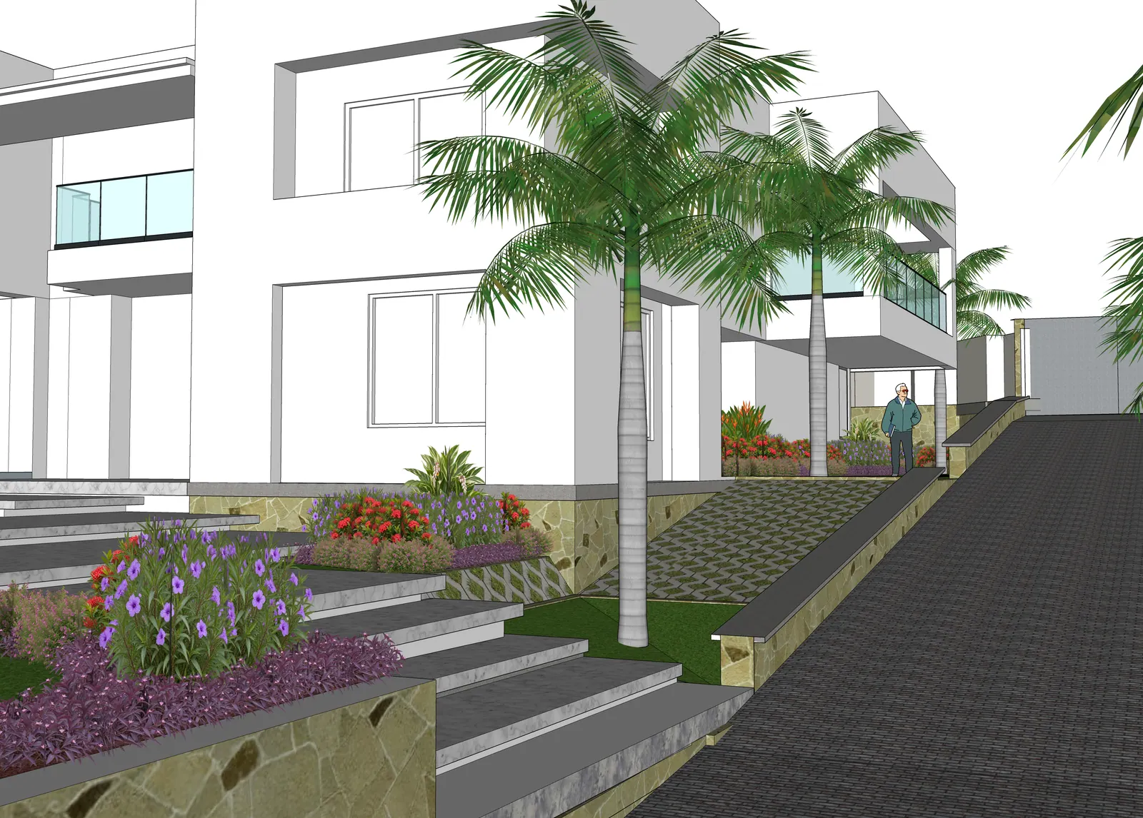 Entrance steps, palms and planted terraces in the design model.