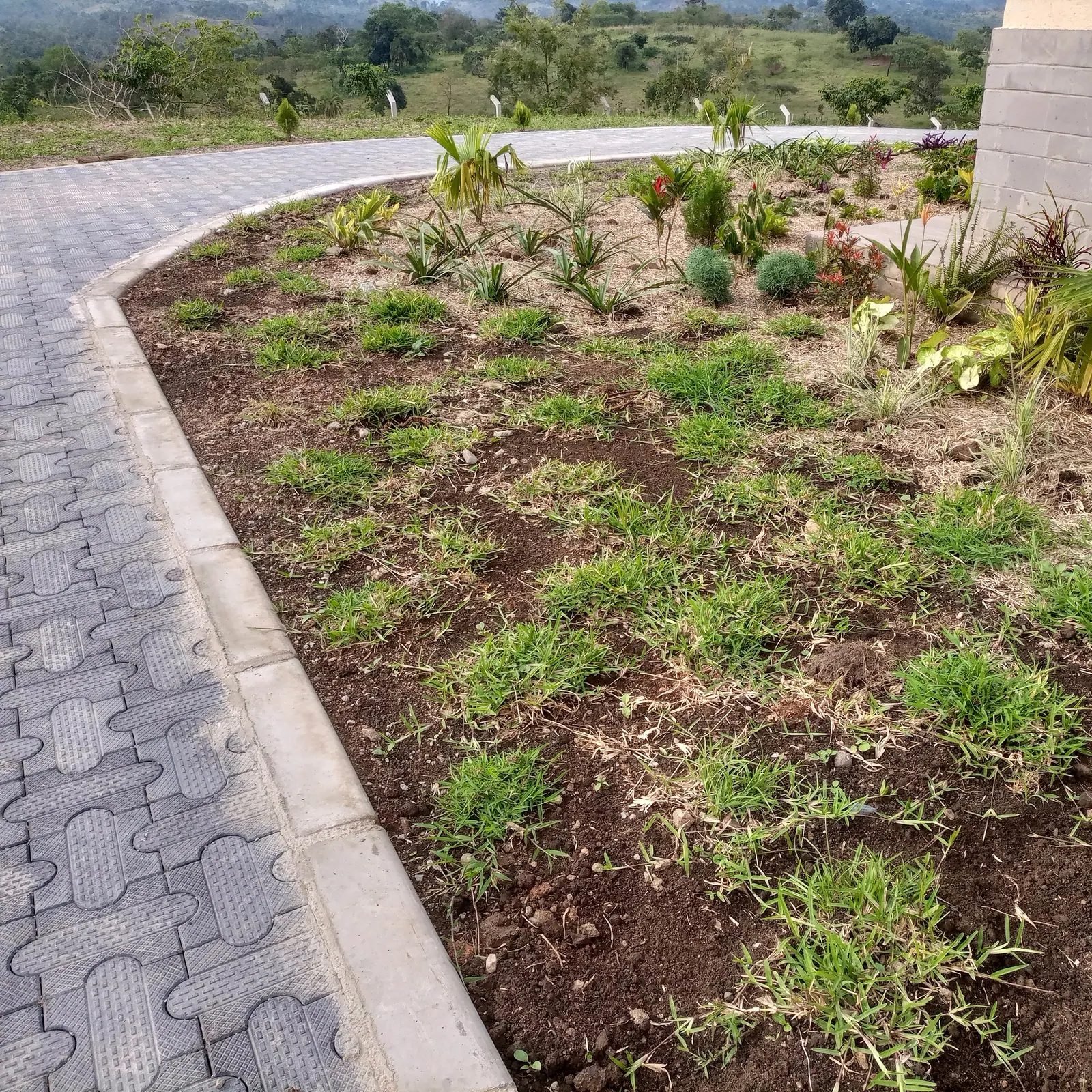 A planted island follows the edge of the paved arrival.
